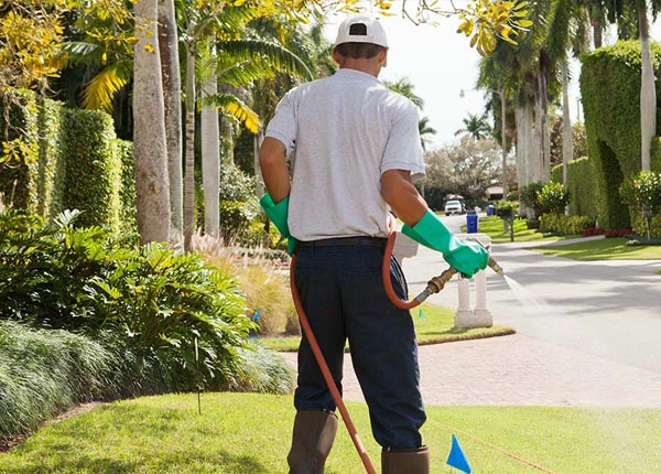 About Defuniak Springs FL Pest Control Pros